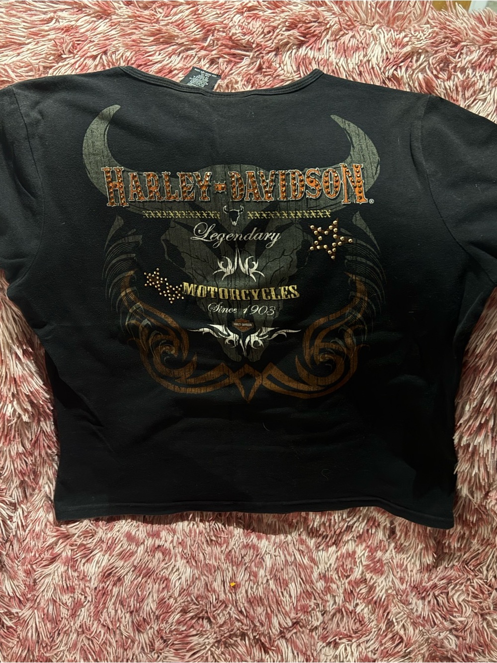 Harley-Davidson Black Graphic baby Tee
